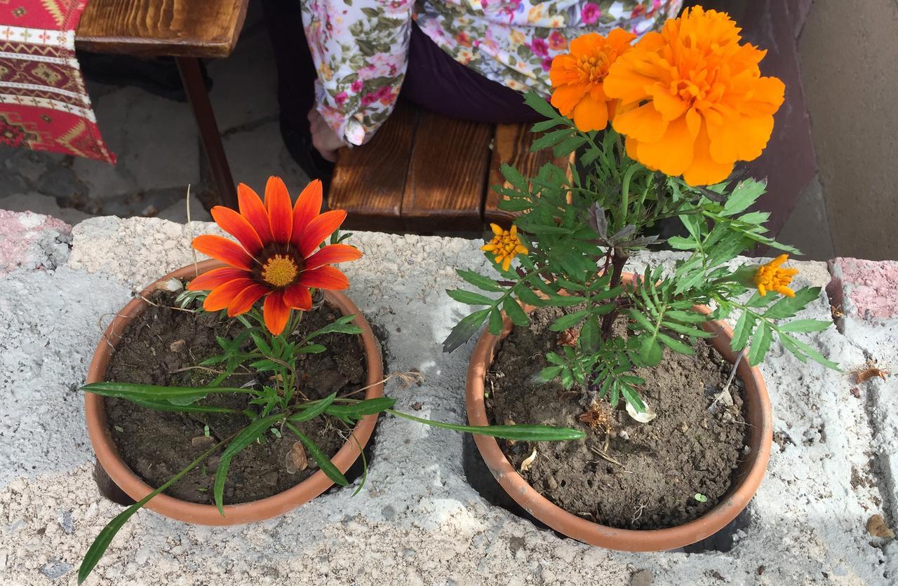 Three Jugs B&B Jrvezh Екстер'єр фото